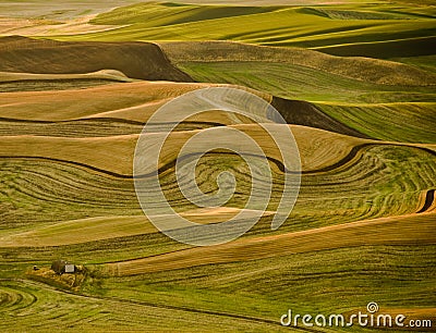 Farms of Palouse Stock Photo