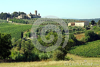 Farms in Tuscany, Italy Stock Photo