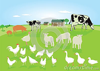 Farmyard animals in a field Vector Illustration