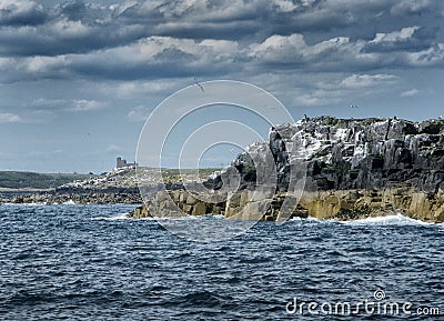 The farne islands in Northumbria england Stock Photo