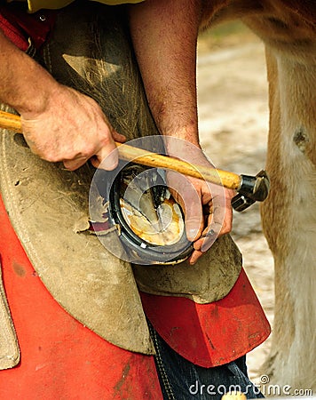 The Farrier, nailing the shoe Stock Photo