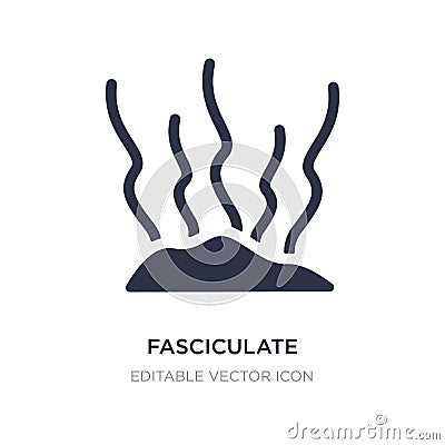 fasciculate icon on white background. Simple element illustration from Nature concept Vector Illustration