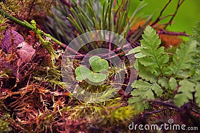 Fascinating beauty of the autumn park. Stock Photo