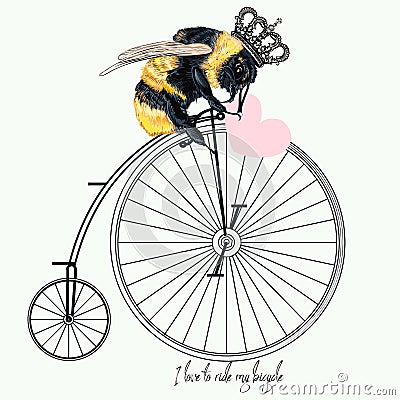 Fashion apparel print bumble bee on bicycle with crown Vector Illustration