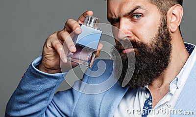 Fashion cologne bottle. Bearded male prefers expensive fragrance smell. Man perfume, fragrance. Male fragrance and Stock Photo