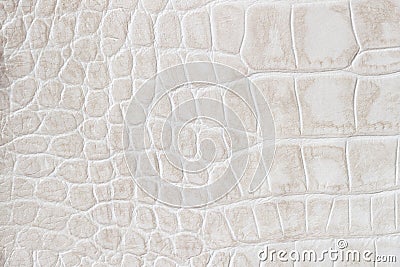 Fashion cream scales macro exotic background, embossed under the skin of a reptile, crocodile. Texture genuine leather Stock Photo