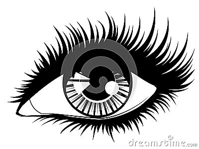 Eye with black long eyelashes Vector Illustration