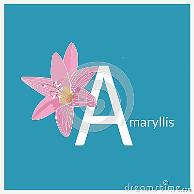 Vector floral flower. illustration elements. amaryllis modern wallpaper. contemporary trendy arty. Vector Illustration