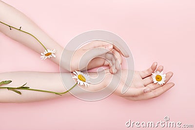 Fashion hand art chamomile natural cosmetics women, white beautiful chamomile flowers hand with bright contrast makeup, hand care Stock Photo