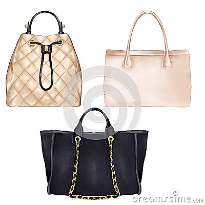 Fashion Illustration - diifferent types of women hand bags Stock Photo