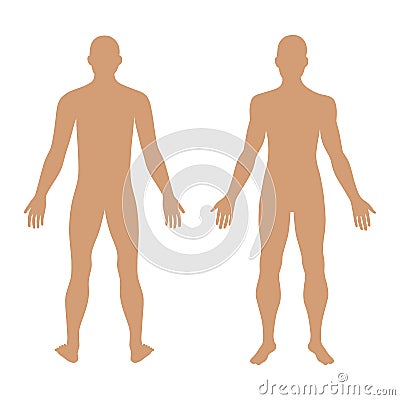 Fashion man's solid template figure silhouette (front & back vie Vector Illustration