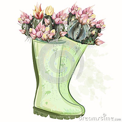 Fashion spring illustration with green rubber boots and cactus flowers for design Cartoon Illustration