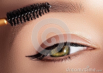 Fashion woman applying eyeshadow, mascara on eyelid, eyelash and eyebrow using makeup brush. Professional make-up artist Stock Photo