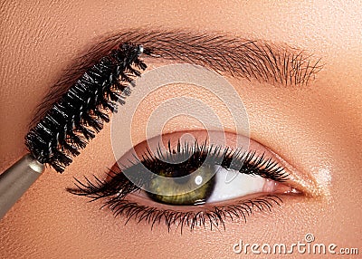 Fashion woman applying eyeshadow, mascara on eyelid, eyelash and eyebrow using makeup brush. Professional make-up artist Stock Photo