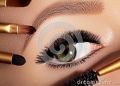 Fashion woman applying eyeshadow, mascara on eyelid, eyelash and eyebrow using makeup brush. Professional make-up artist Stock Photo