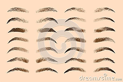 Fashion woman eyebrow shape design in different types Vector Illustration