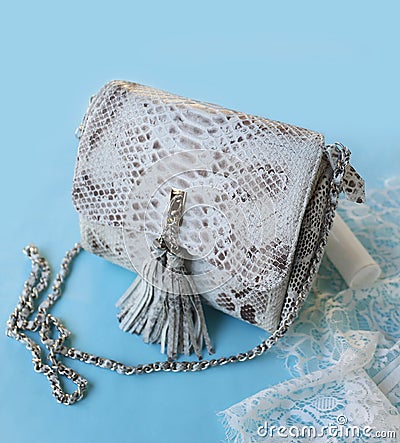 Fashion women python skin bag on blue background Stock Photo