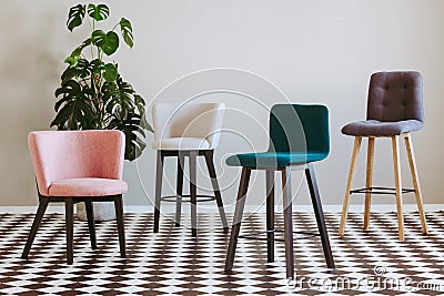 Fashionable colorful chairs in elegant interior with black and white floor Stock Photo