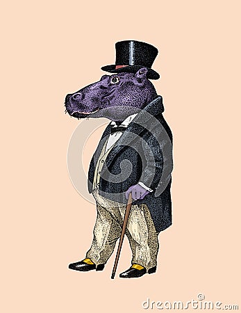 Fashionable hippopotamus. Antique gentleman in a jacket and a top hat. Victorian Ancient Retro Clothing. A man in a suit Vector Illustration