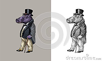 Fashionable hippopotamus. Antique gentleman in a jacket and a top hat. Victorian Ancient Retro Clothing. A man in a suit Vector Illustration