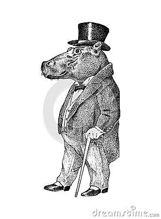 Fashionable hippopotamus. Antique gentleman in a jacket and a top hat. Victorian Ancient Retro Clothing. A man in a suit Vector Illustration