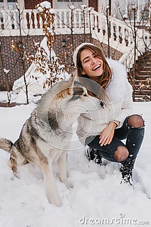 Fashionable joyful young woman having fun with lovely husky dog in snow on the street. True emotions, happy moments in Stock Photo