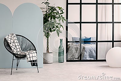 Fashionable room interior with white and blue wall,green plant in pot and trendy chair Stock Photo