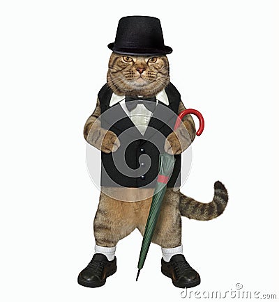 Cat gentleman with umbrella Stock Photo