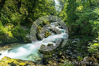 Radovna river in Vintgar gorge Stock Photo