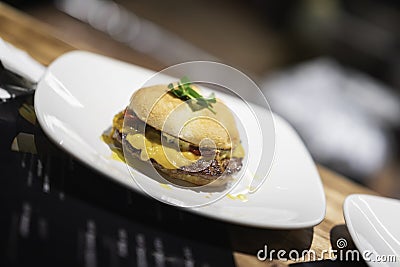 Fast delicious sandwich. Healthy organic cheeseburger, beef burger in a white plate Stock Photo