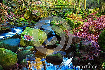 Fast flowing brook Stock Photo