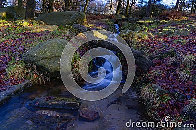 Fast flowing woodland stream tumbles down to a shallow pool Stock Photo