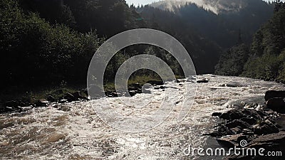 Fast mountain river in the Carpathians. Stock Photo