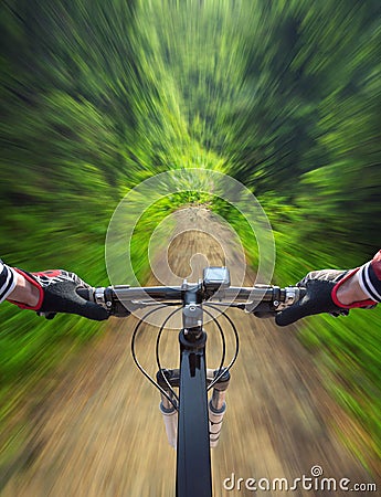 Fast ride in summer forest Stock Photo