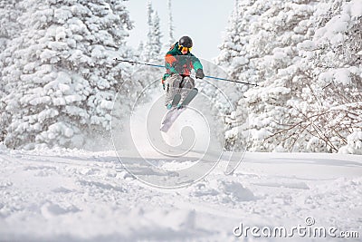 Skier freerides and jumps in snowy forest Stock Photo