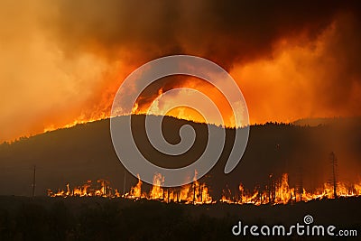 Fast spreading wildfires depict climate changes ecological impacts Stock Photo