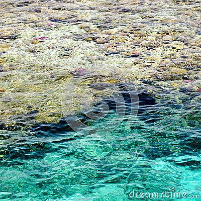 Fast water currents on river flow over colorful stones in summer Stock Photo