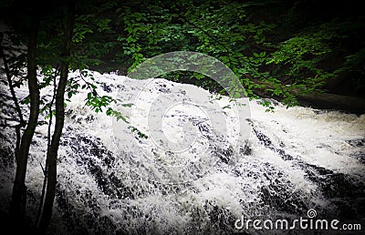Fast Water Flow Stock Photo