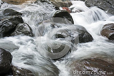 Fast white brook flowing Stock Photo