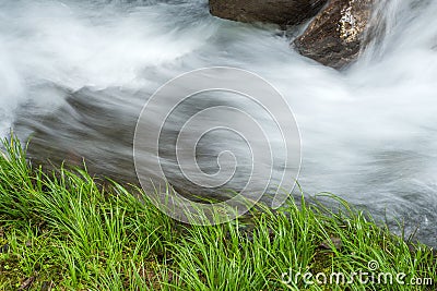 Fast white brook Stock Photo