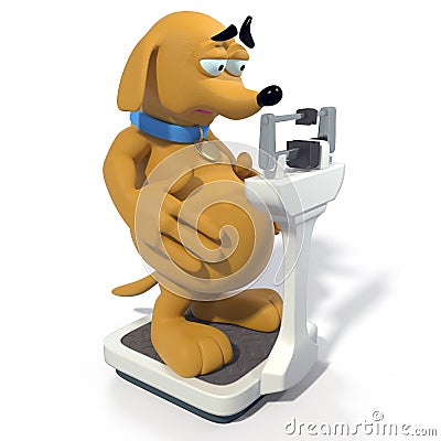 Fat Brown dog on scale Stock Photo