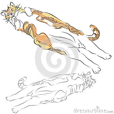 Fat Calico Cat Laying Down Vector Illustration