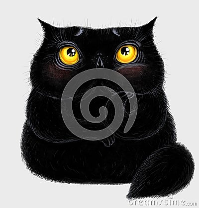 Fat fluffy black cat Stock Photo