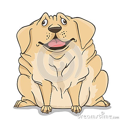 Fat Labrador light Vector Illustration