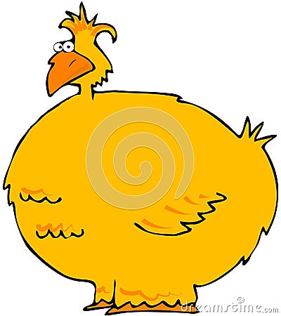 Fat Yellow Bird Cartoon Illustration