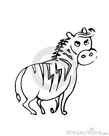 Fat zebra funny. Cheerful wild animal. A comical character. Outline sketch. Hand drawing is isolated on a white Vector Illustration