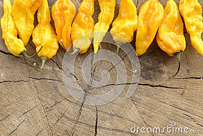 Fatalii yellow hot peppers Stock Photo