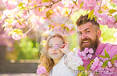 Father and daughter on happy faces play with flowers, sakura background. Girl with dad near sakura flowers on spring day Stock Photo