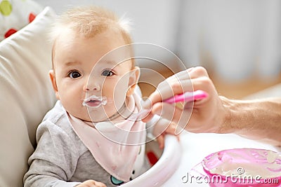 Father feeding baby sitting in highchair at home Stock Photo