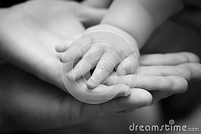 Father, mother and baby`s hands together in black and white Stock Photo